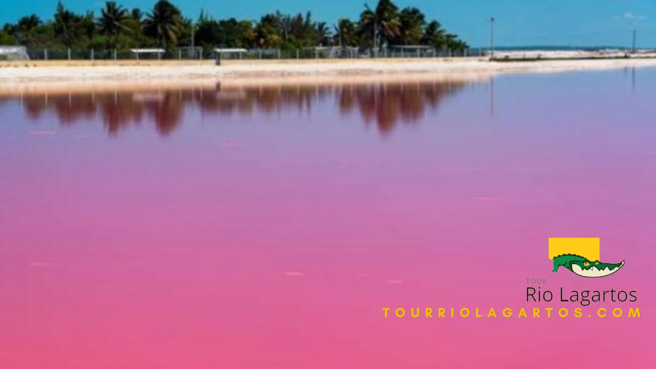 paisaje de las coloradas de un color rosa intenso, que se llega por medio de tour en lancha rio lagartos. ¿Sabías que las coloradas le pertenece al municipio de rio lagartos?