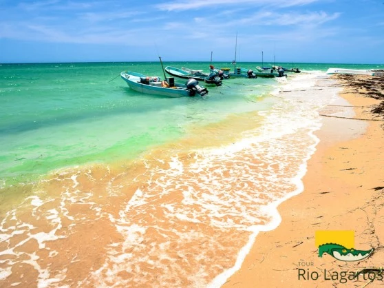 grupo de lanchas de pescadores en las hermosas playas de rio lagartos, estas lanchas son ideales para paseo en botes en rio lagartos