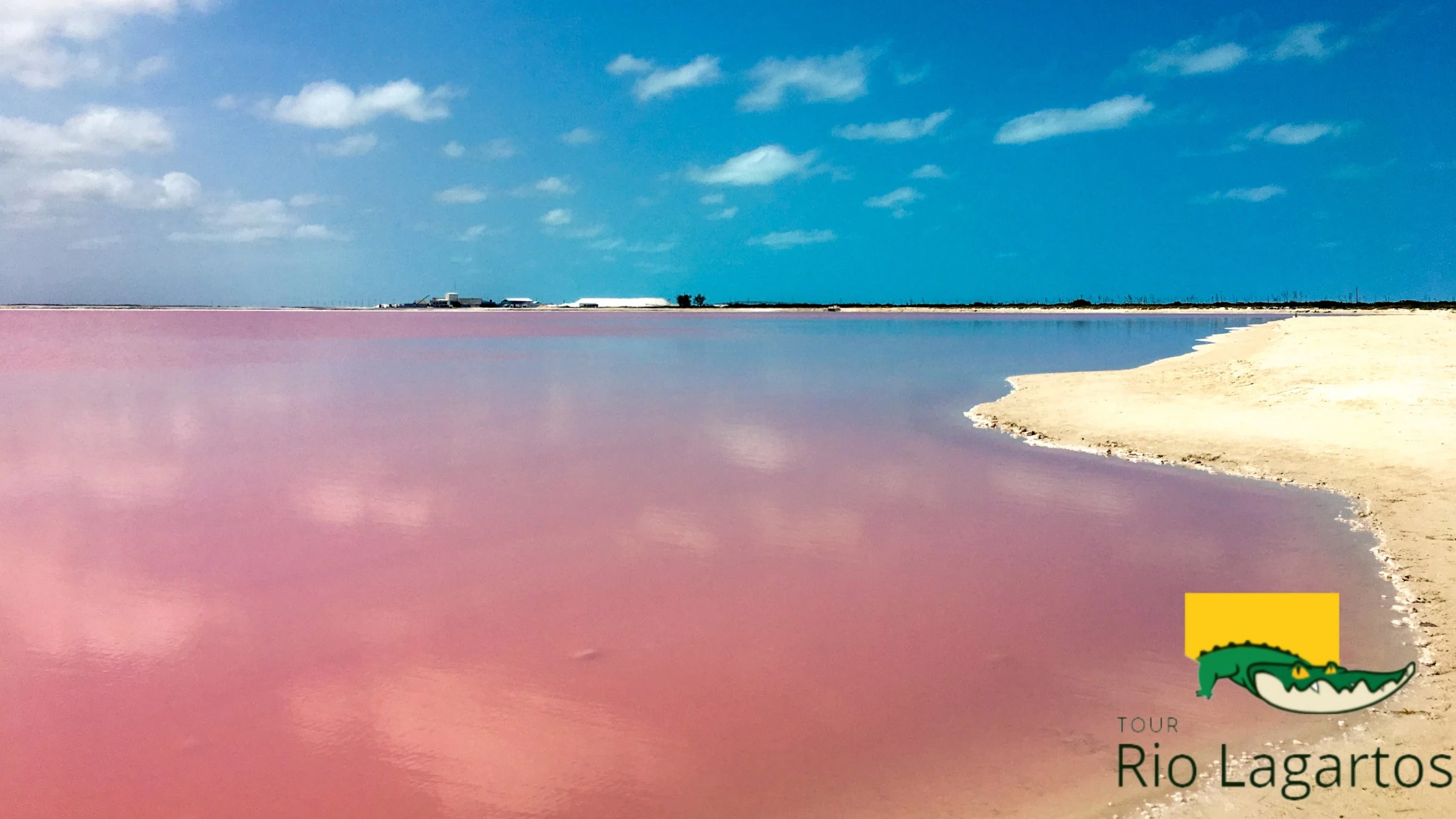 las coloradas es un municipio de rio lagartos, que toma su tono rosa por las sales tan altas en la zona, perfecto para visitar en paseos en bote desde rio lagartos