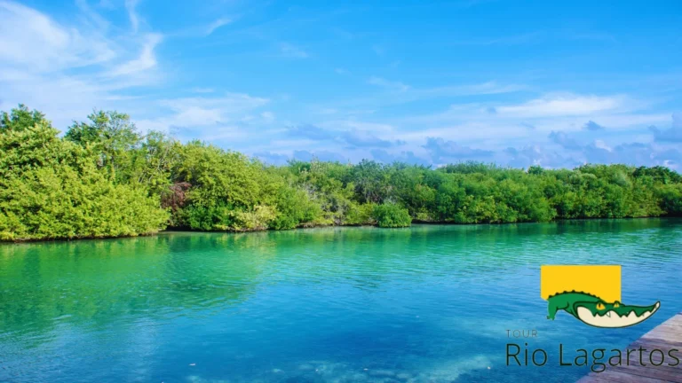 foto del lado centro de la ria lagartos tomada desde el muelle en la localidad de rio lagartos en yucatán, los manglares en rio lagartos son una parte vital en el ecosistema