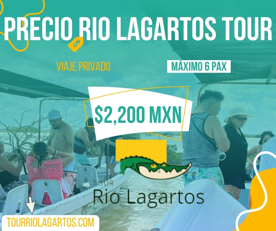 Precio rio lagartos tours por $2,200 mxn