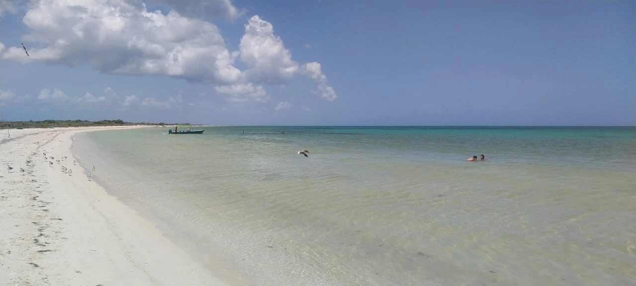 Paisaje de una playa virgen en la Biósfera de Ría Lagartos, donde los visitantes de nuestro tour nadan en aguas cristalinas junto a aves marinas en la orilla.