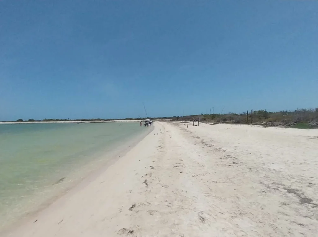 Rio Lagartos Beach: A Hidden Paradise of White Sand and Turquoise Waters in Yucatan 1 Exploring the pristine, secluded sandbanks of the Río Lagartos Biosphere Reserve, a unique stop featured on our guided Yucatan boat tour.