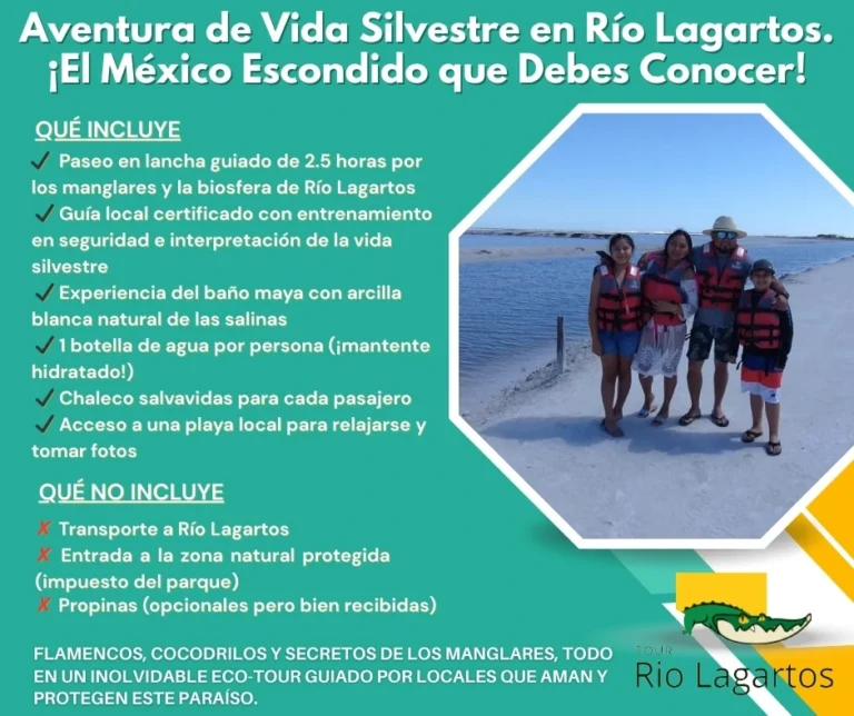 Tour Rio Lagartos 2 Infografía informativa del tour de vida silvestre en Río Lagartos, mostrando a una familia en Las Coloradas y detallando qué incluye el paseo en lancha, como el guía local y el baño de arcilla maya.