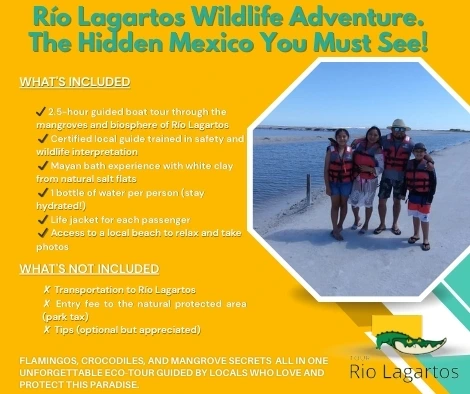 Rio Lagartos Tour Details | What's Included | TourRioLagartos.com 1 An infographic detailing what's included in the Rio Lagartos Wildlife Adventure tour, featuring a family photo at the salt flats and listing key experiences like the boat tour and Mayan bath.