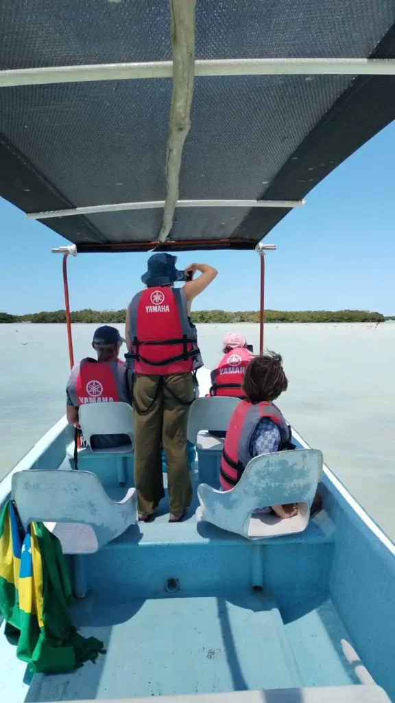 Familia en un tour en lancha tomando fotos de una parvada de flamencos rosados en las aguas de la Reserva de la Biósfera Ría Lagartos, Yucatán.