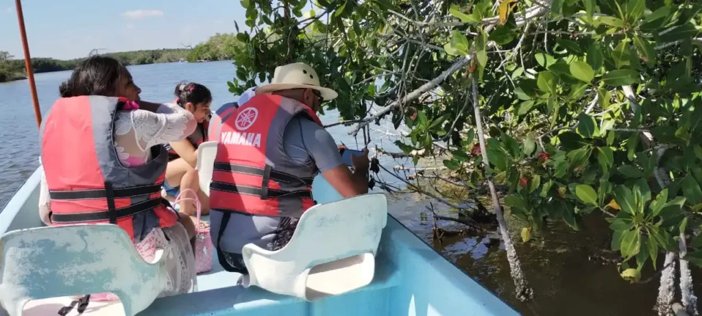 A local guide pointing out wildlife in the mangrove forest to a family during a guided boat tour in the Rio Lagartos Biosphere Reserve, Yucatan.