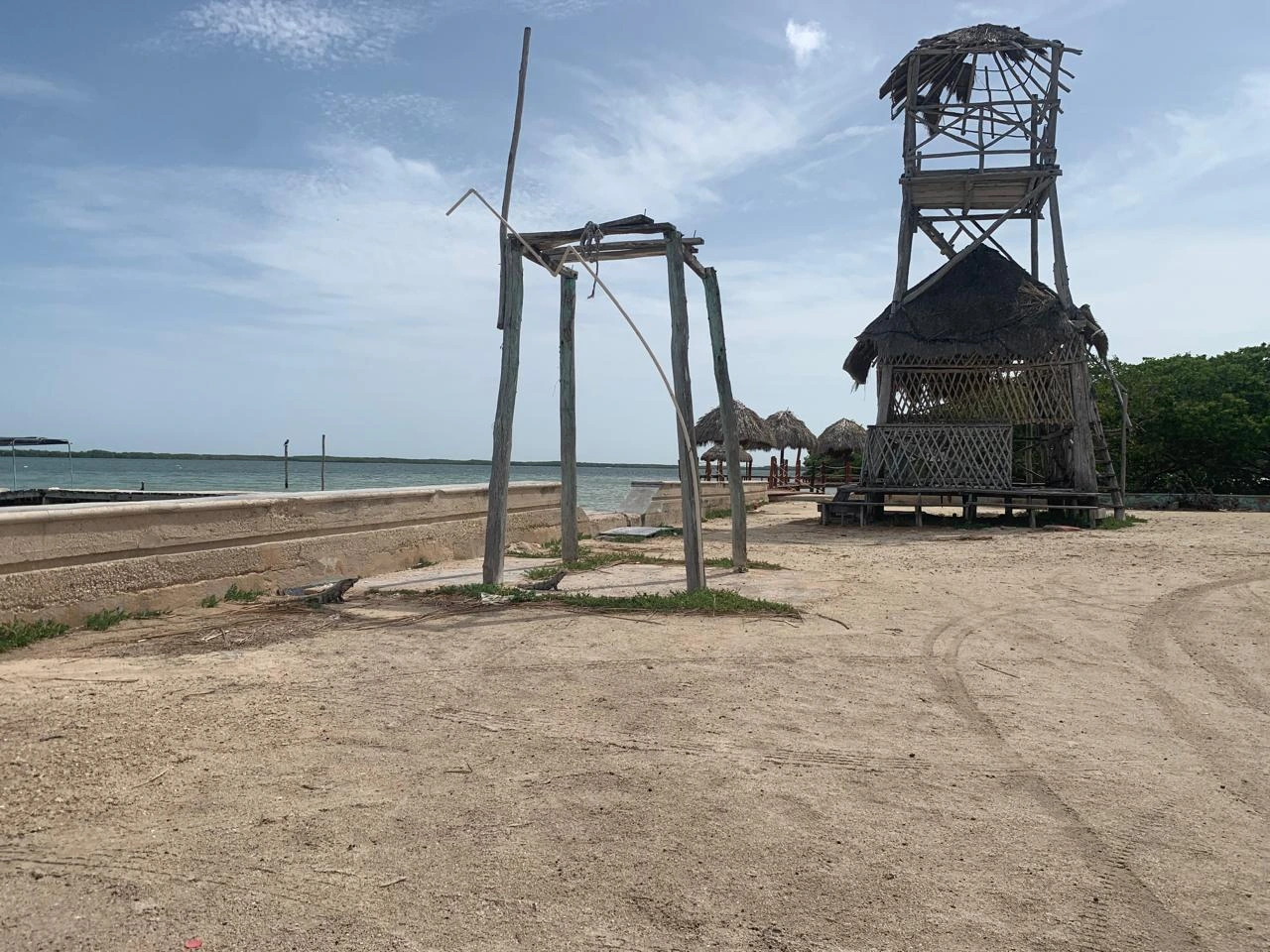 Chiquilá Río Lagartos: the Hidden Freshwater Spring You Must Visit in Yucatán 2 Several black spiny-tailed iguanas basking in the sun on a sandy area next to the malecón in Rio Lagartos, with a rustic wooden lookout tower in the background.