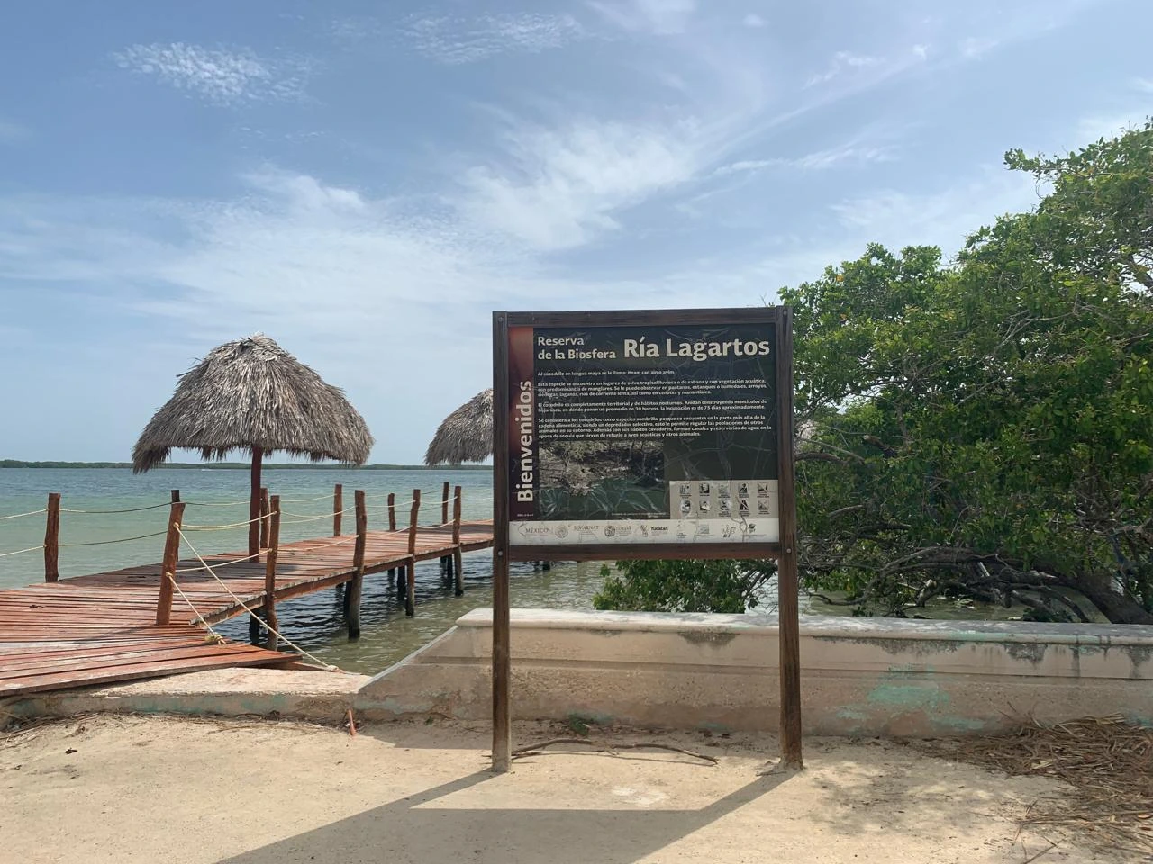 Chiquilá Río Lagartos: el ojo de agua que debes conocer en Yucatán 1 Entrada al balneario natural Chiquilá en Río Lagartos, con una palapa de paja a la izquierda y un letrero de bienvenida de madera sobre el acceso al ojo de agua.