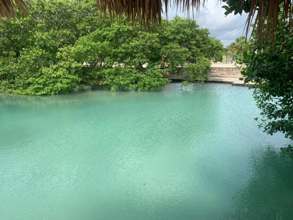 Vista del ojo de agua Chiquilá en Río Lagartos, con sus aguas turquesas y manglares, enmarcada por la sombra de una palapa de paja.