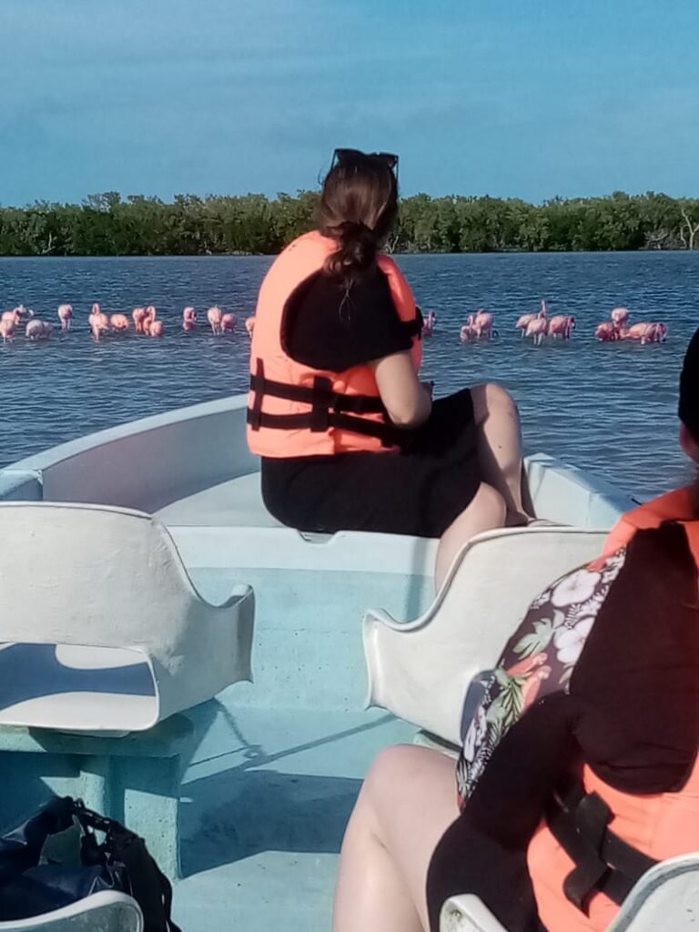 Turistas observando una colonia de aves rosadas en su hábitat natural, una actividad que incluye el tour Río Lagartos el avistamiento de flamingos.