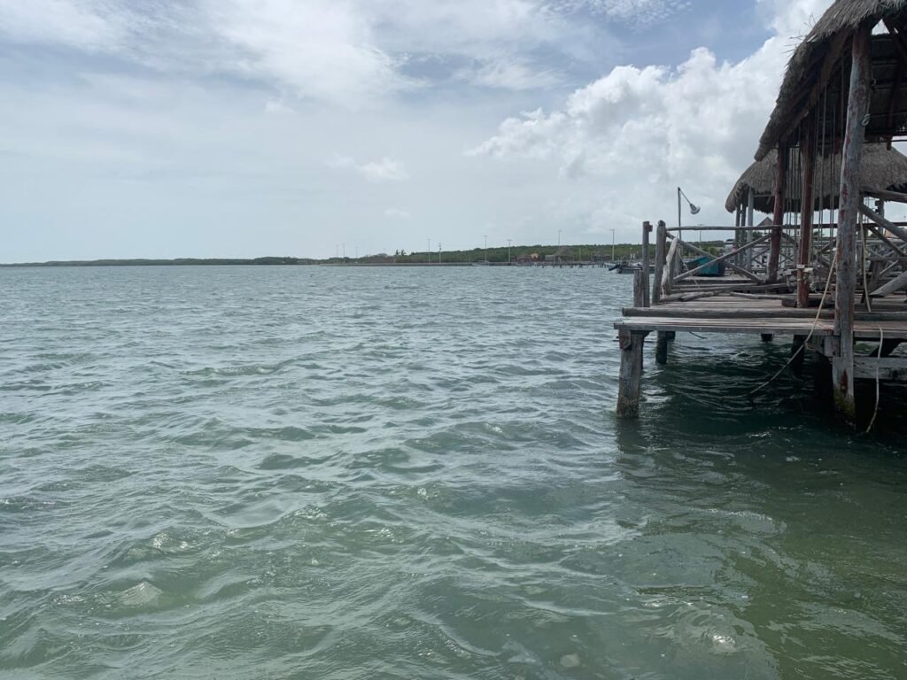 Vista de la Reserva de la Biosfera protegida por el brazalete de conservación en Río Lagartos, mostrando la belleza natural que se preserva.