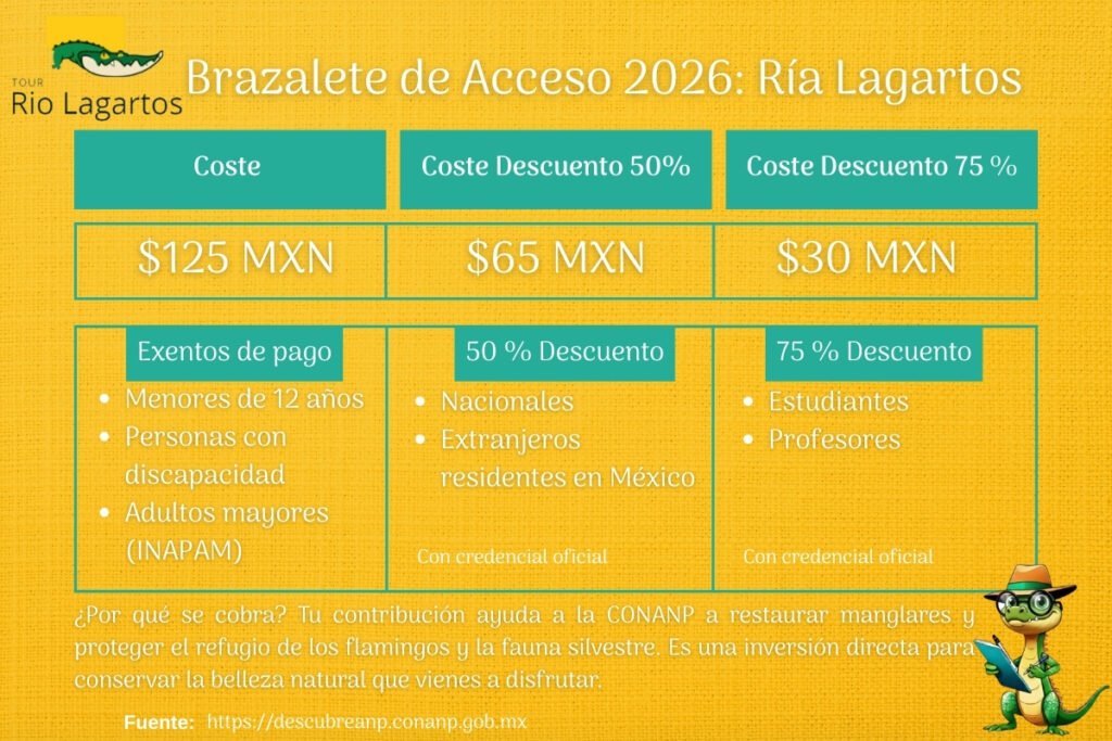 Tabla de costos del brazalete de acceso 2026 a la Reserva de la Biosfera Ría Lagartos, con precios de $125 MXN y descuentos disponibles.