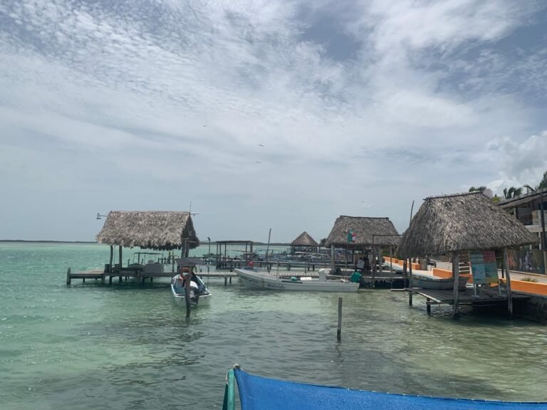 Vista panorámica del puerto y lanchas turísticas listas para iniciar el itinerario tour Río Lagartos en la Reserva de la Biosfera.
