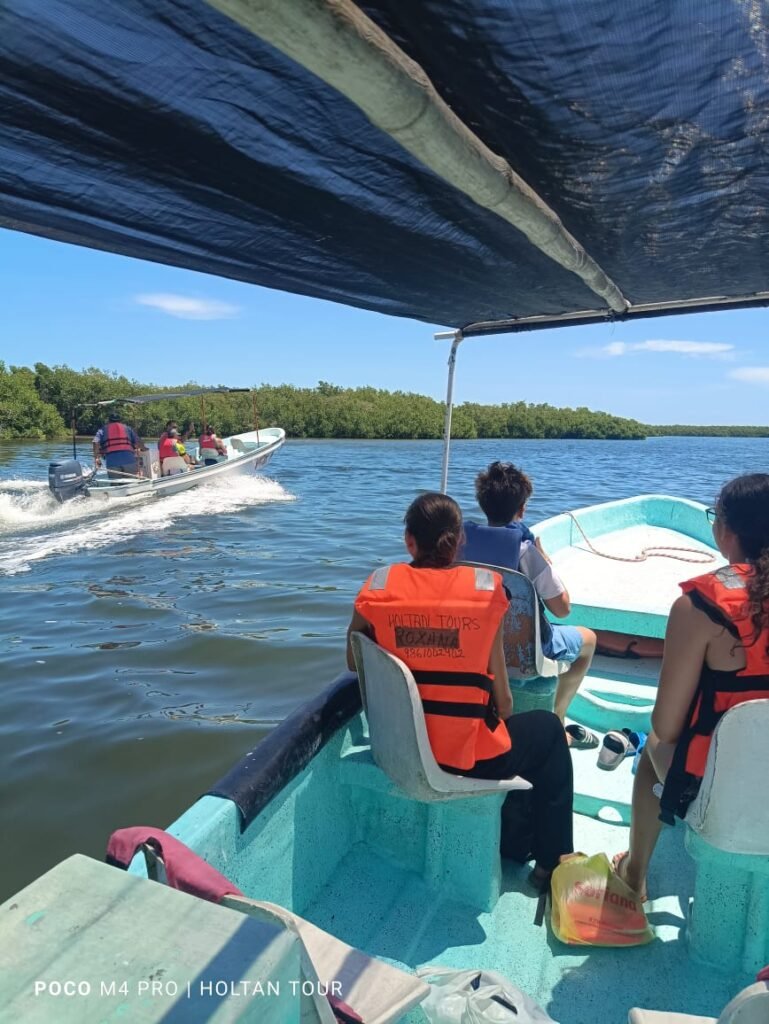 Inicio del itinerario tour Río Lagartos navegando por la laguna hacia la zona de manglares y avistamiento de flamingos.