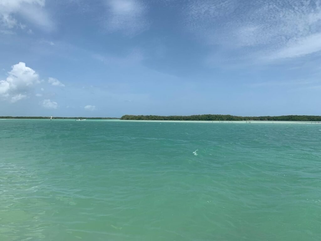 Panoramic view of the calm turquoise waters and distant mangroves at the entrance of the Rio Lagartos Biosphere Reserve in Yucatan.