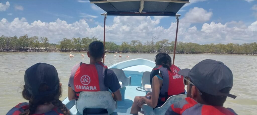 Tourists on a private boat watching a flock of wild pink flamingos in the shallow waters of the Rio Lagartos Biosphere Reserve.