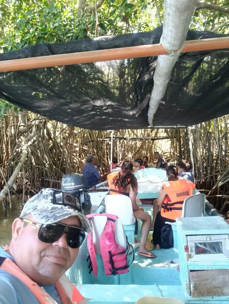 Groups of tourists on a private boat shaded by a canopy, navigating through dense mangrove roots in Rio Lagartos.