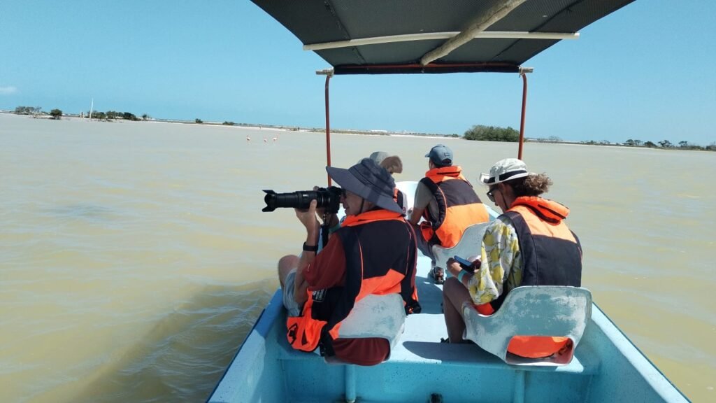 Tourists on a boat tour in Rio Lagartos using professional cameras to photograph pink flamingos, an experience often paired with the mayan mud bath rio lagartos.