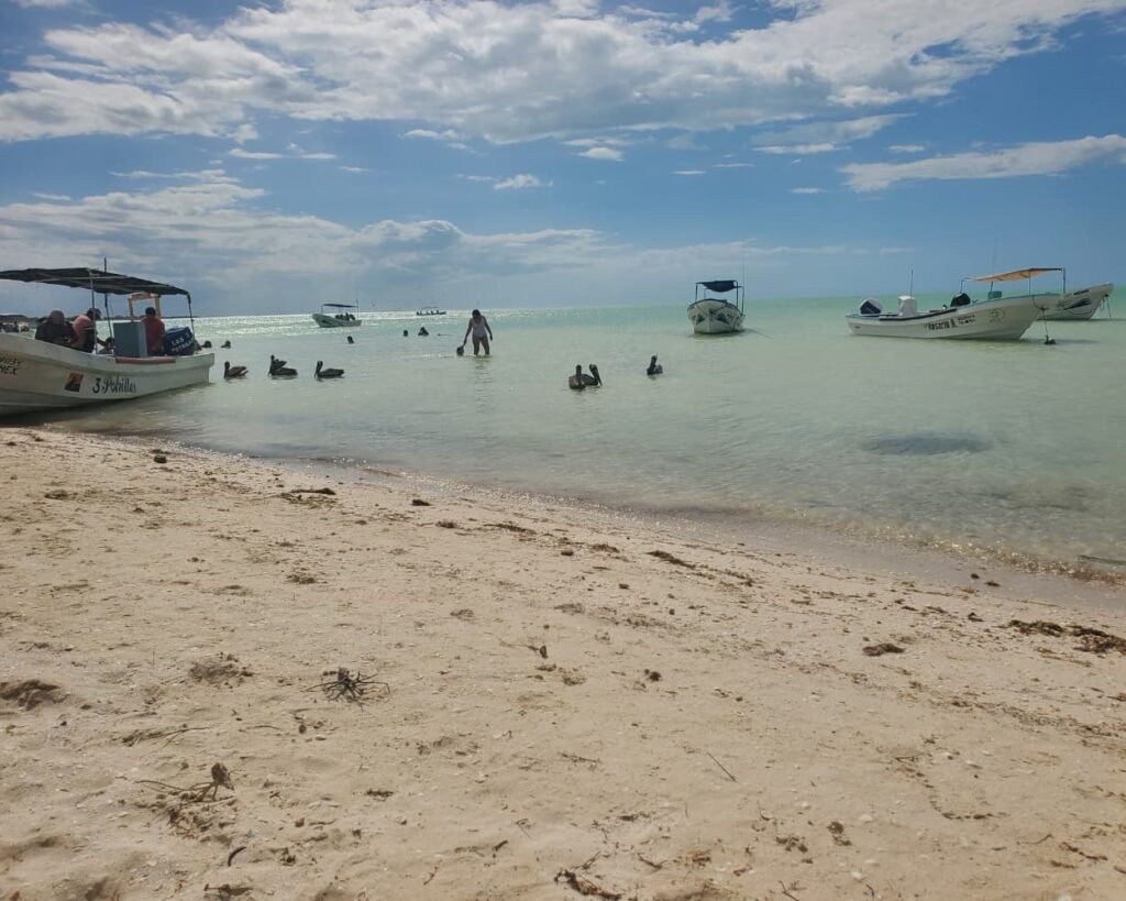 The Ultimate Guide Rio Lagartos Las Coloradas 9 Private Rio Lagartos Boat Tour stop at a virgin beach with pelicans and tourist boats.
