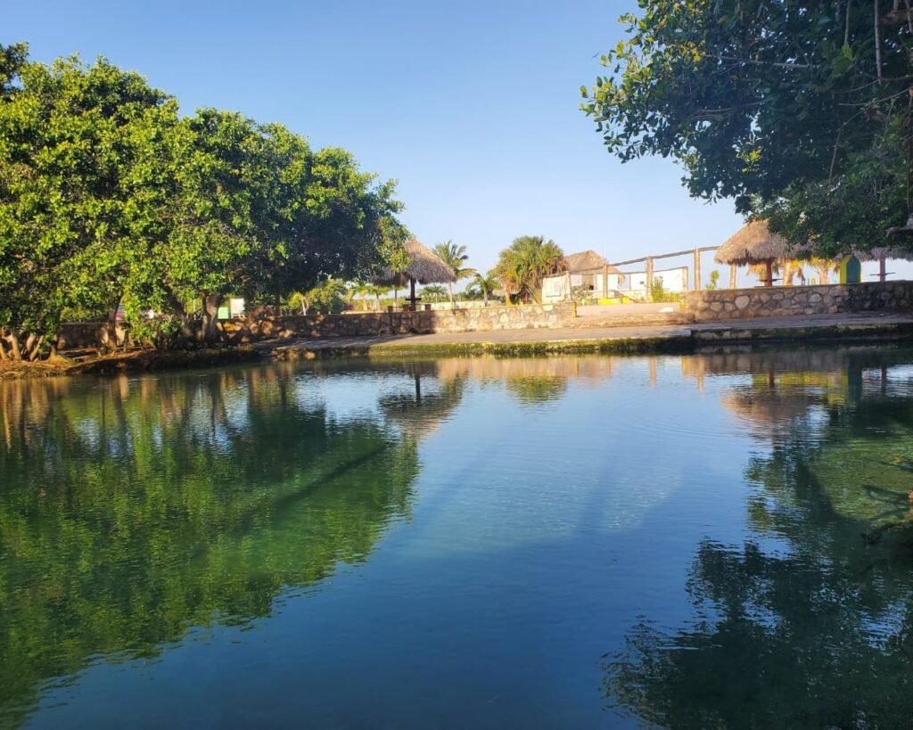 Rio Lagartos Travel Guide 2026: The Perfect Full Day Itinerary Beyond the Flamingos 11 Clear freshwater reflecting green trees at Chiquila Ojo de Agua, a natural spring stop featured in the Rio Lagartos itinerary.