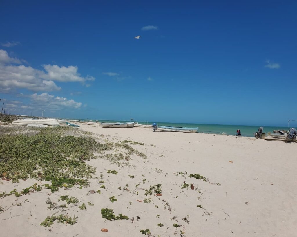 Rio Lagartos Travel Guide 2026: The Perfect Full Day Itinerary Beyond the Flamingos 15 Traditional fishing and tour boats resting on the wide white sands of Hidden Beach Las Coloradas under a clear blue sky in Yucatan.