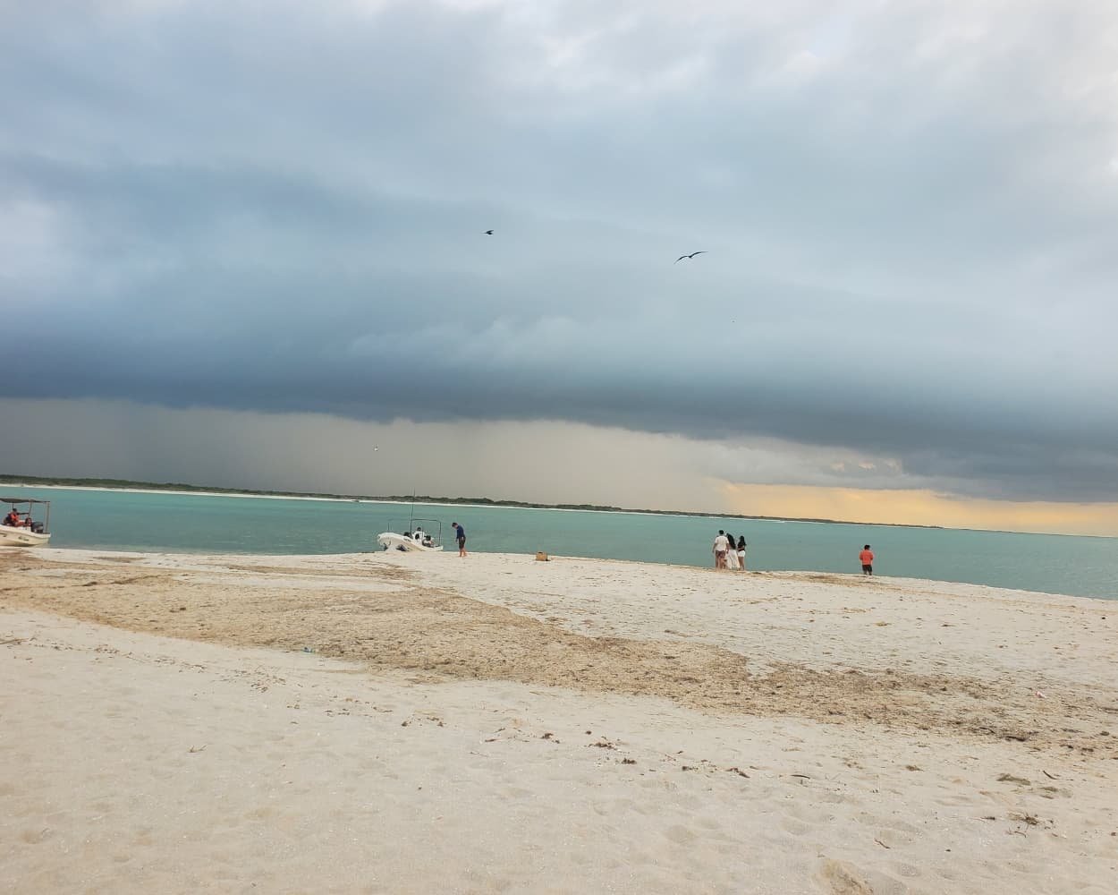 A pristine beach view from the Rio Lagartos Travel Guide, showing tourists, local boats, and the emerald waters of the Yucatan coast.